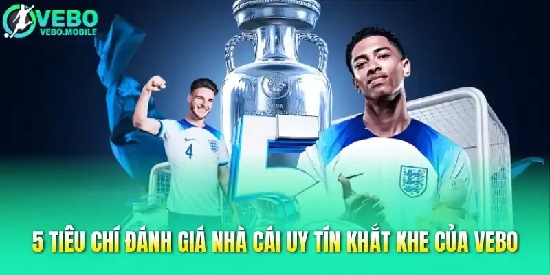 5 tiêu chí đánh giá nhà cái uy tín của  trang thể thao Vebo