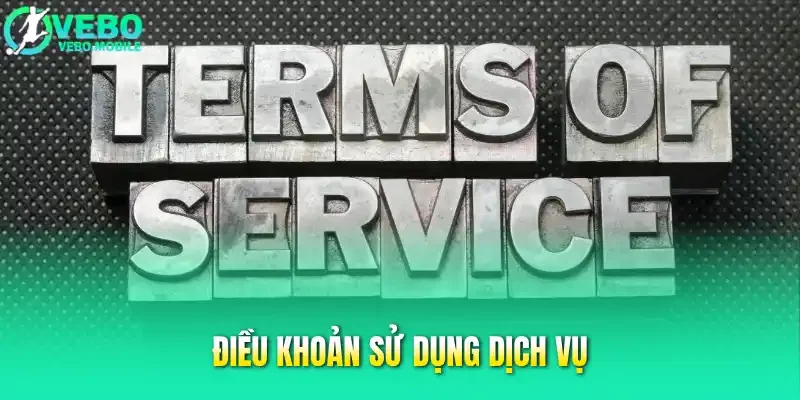 Điều khoản sử dụng dịch vụ