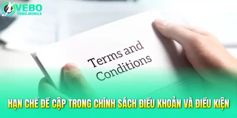 Hạn chế đề cập trong chính sách điều khoản và điều kiện