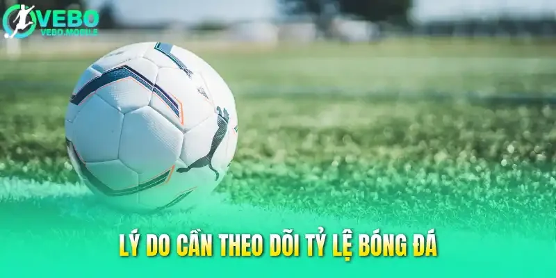 Lý do cần theo dõi tỷ lệ bóng đá