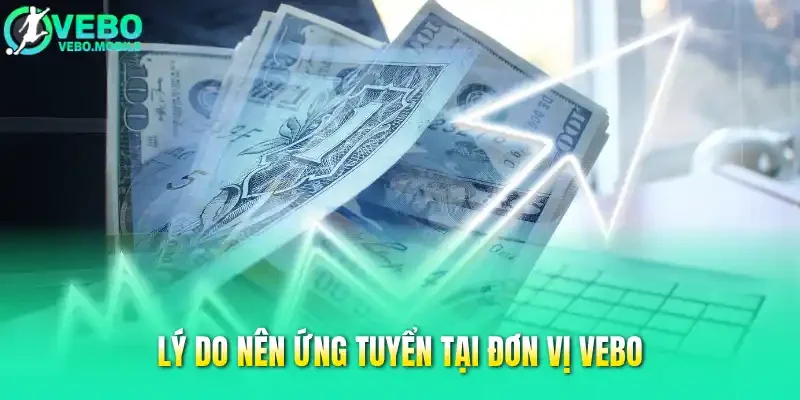 Lý do nên ứng tuyển tại đơn vị Vebo