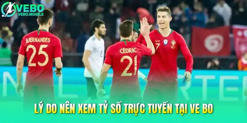 Lý do nên xem tỷ số trực tuyến tại Ve bo