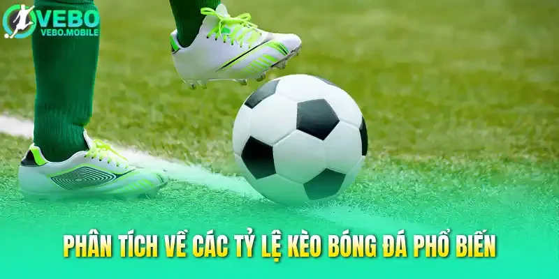 Phân tích về các tỷ lệ kèo bóng đá phổ biến