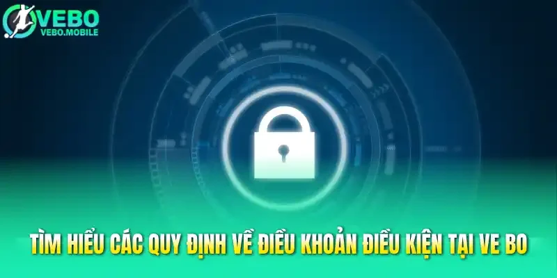Tìm hiểu các quy định về điều khoản điều kiện tại Ve bo