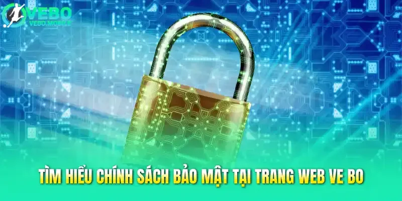 Tìm hiểu chính sách bảo mật tại trang web Vebo