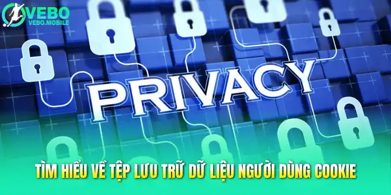 Tìm hiểu về tệp lưu trữ dữ liệu người dùng cookie