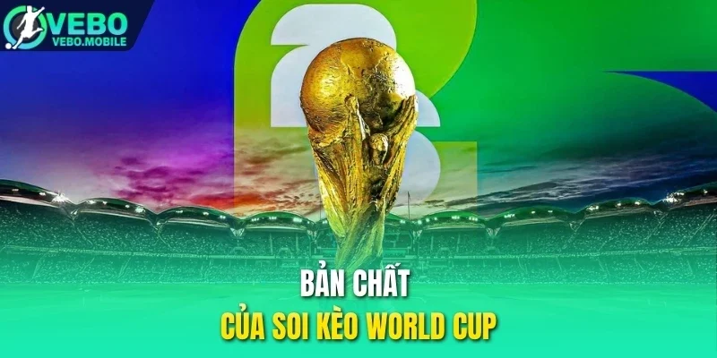 Bản chất của soi kèo World Cup