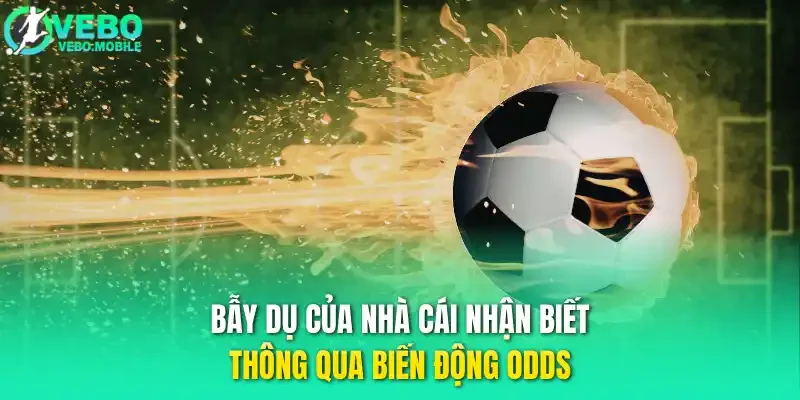 Bẫy dụ của nhà cái nhận biết thông qua biến động odds