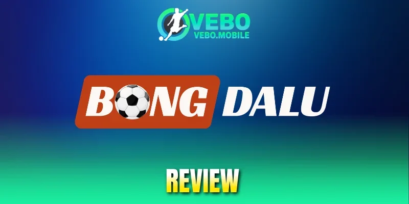 Điểm danh các thông tin quan trọng đang có trên hệ thống