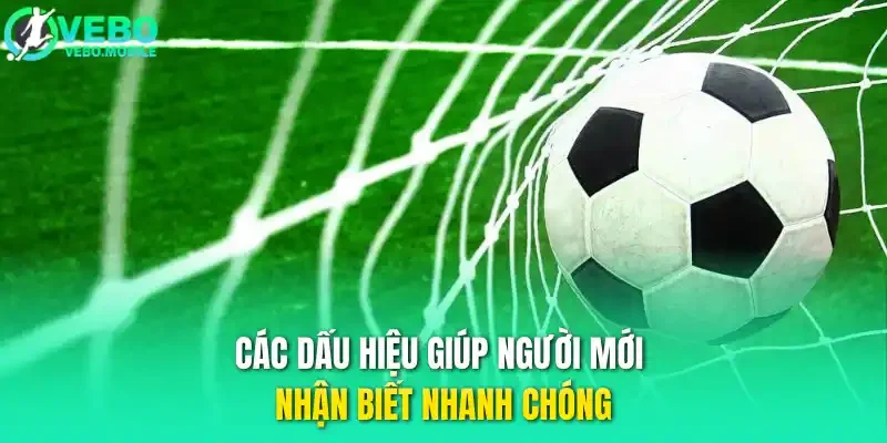 Các dấu hiệu giúp người mới nhận biết nhanh chóng