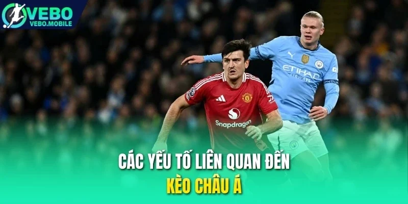 Các yếu tố liên quan đến kèo châu Á
