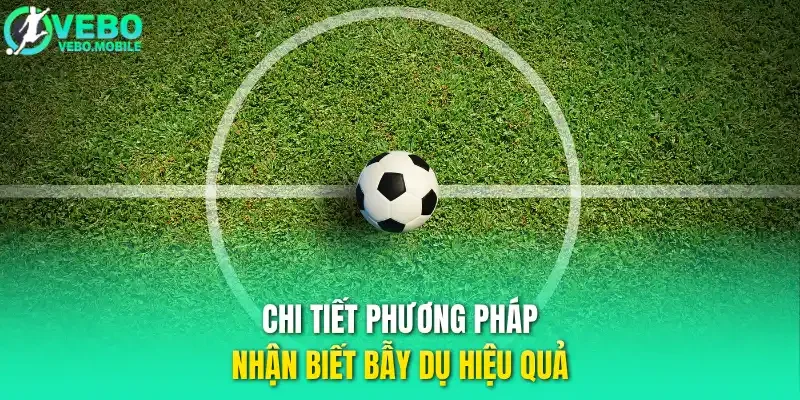 Chi tiết phương pháp nhận biết bẫy dụ hiệu quả