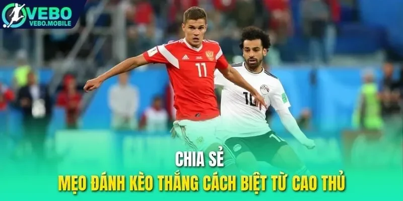 Chia sẻ mẹo đánh kèo thắng cách biệt từ cao thủ