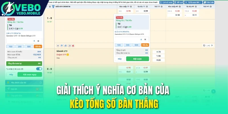 Giải thích ý nghĩa cơ bản của kèo tổng số bàn thắng