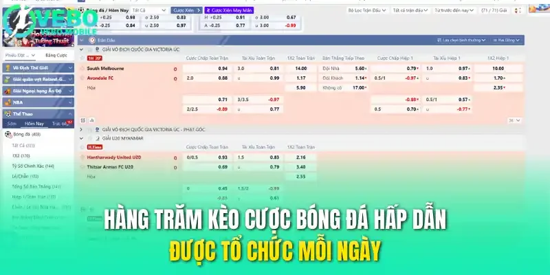 Hàng trăm kèo cược bóng đá hấp dẫn được tổ chức mỗi ngày