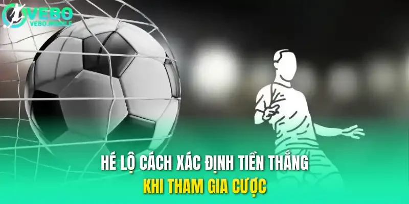 Hé lộ cách xác định tiền thắng khi tham gia cược
