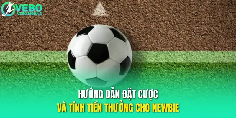 Hướng dẫn đặt cược và tính tiền thưởng cho newbie
