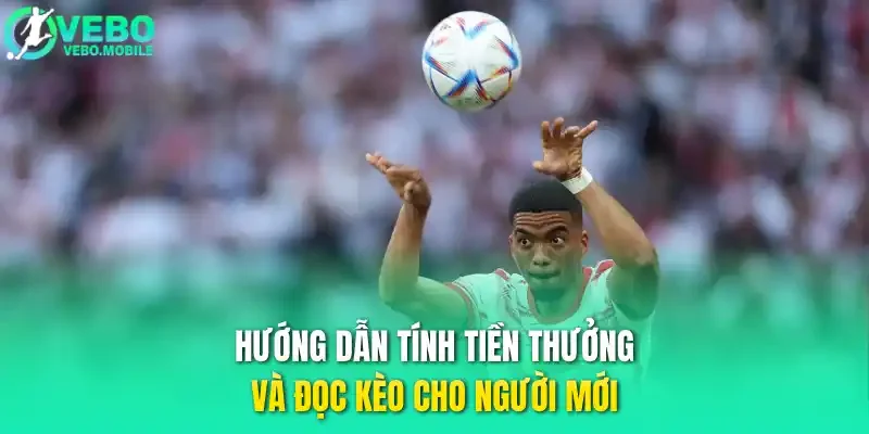 Hướng dẫn tính tiền thưởng và đọc kèo cho người mới 