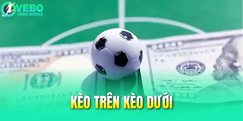 Khám Phá Tất Tần Tật Về Kèo Trên Kèo Dưới Cho Newbie