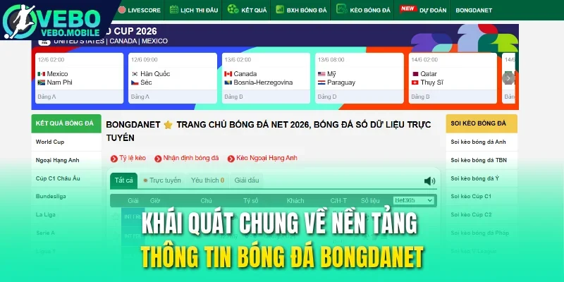 Khái quát chung về nền tảng thông tin bóng đá Bongdanet