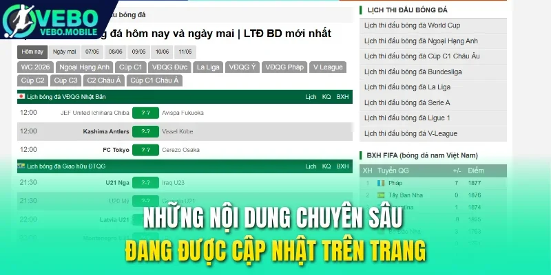 Những nội dung chuyên sâu đang được cập nhật trên trang