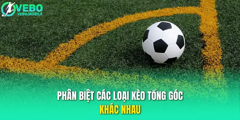 Phân biệt các loại kèo tổng góc khác nhau