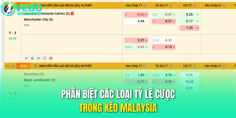 Phân biệt các loại tỷ lệ cược trong kèo Malaysia
