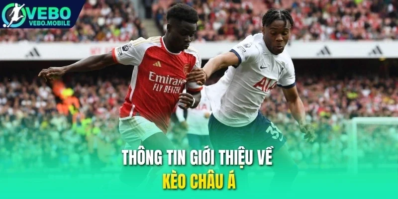Thông tin giới thiệu về kèo châu Á