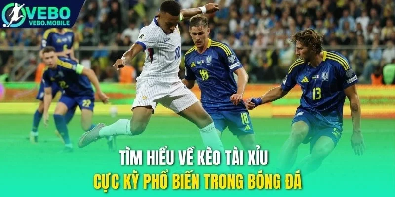 Tìm hiểu về kèo tài xỉu cực kỳ phổ biến trong bóng đá