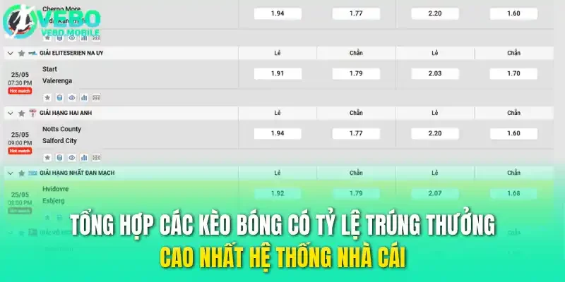 Tổng hợp các kèo bóng có tỷ lệ trúng thưởng cao nhất hệ thống nhà cái