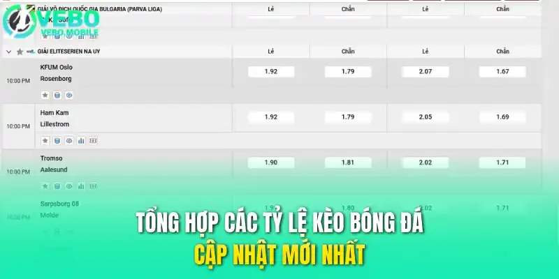 Tổng hợp các tỷ lệ kèo bóng đá cập nhật mới nhất