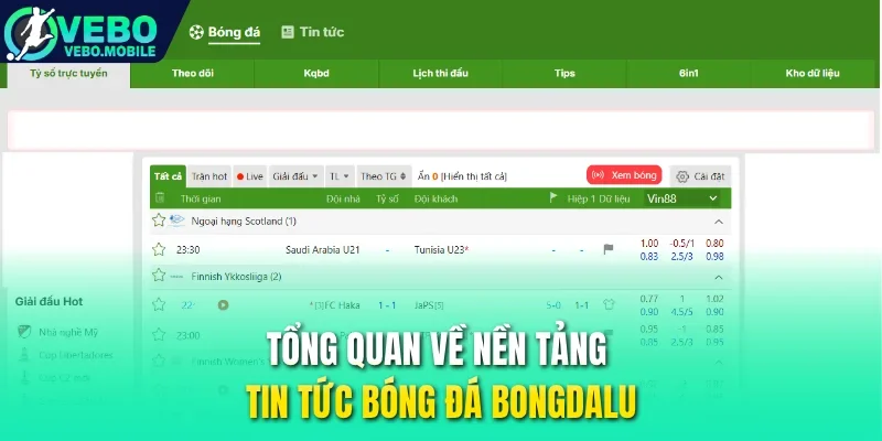 Tổng quan về nền tảng tin tức bóng đá Bongdalu