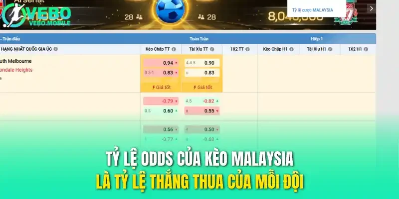 Tỷ lệ odds của kèo Malaysia là tỷ lệ thắng thua của mỗi đội 