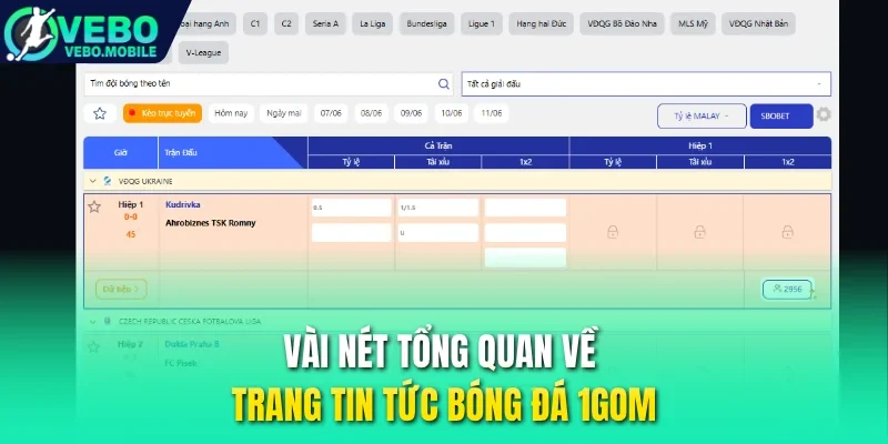 Vài nét tổng quan về trang tin tức bóng đá 1Gom